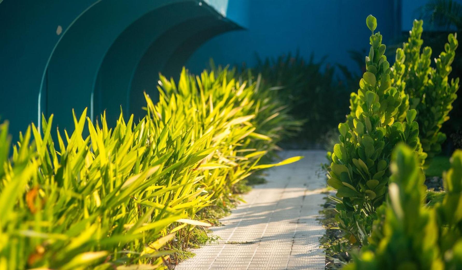 Beach Break Resort & Cr Surf Camp Хако Екстер'єр фото