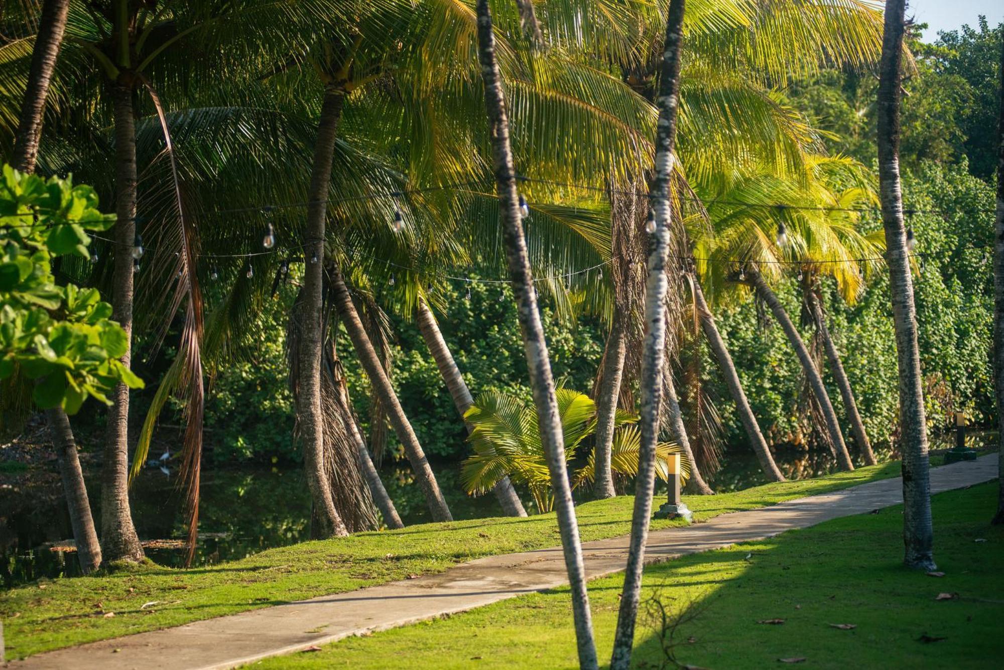 Beach Break Resort & Cr Surf Camp Хако Екстер'єр фото
