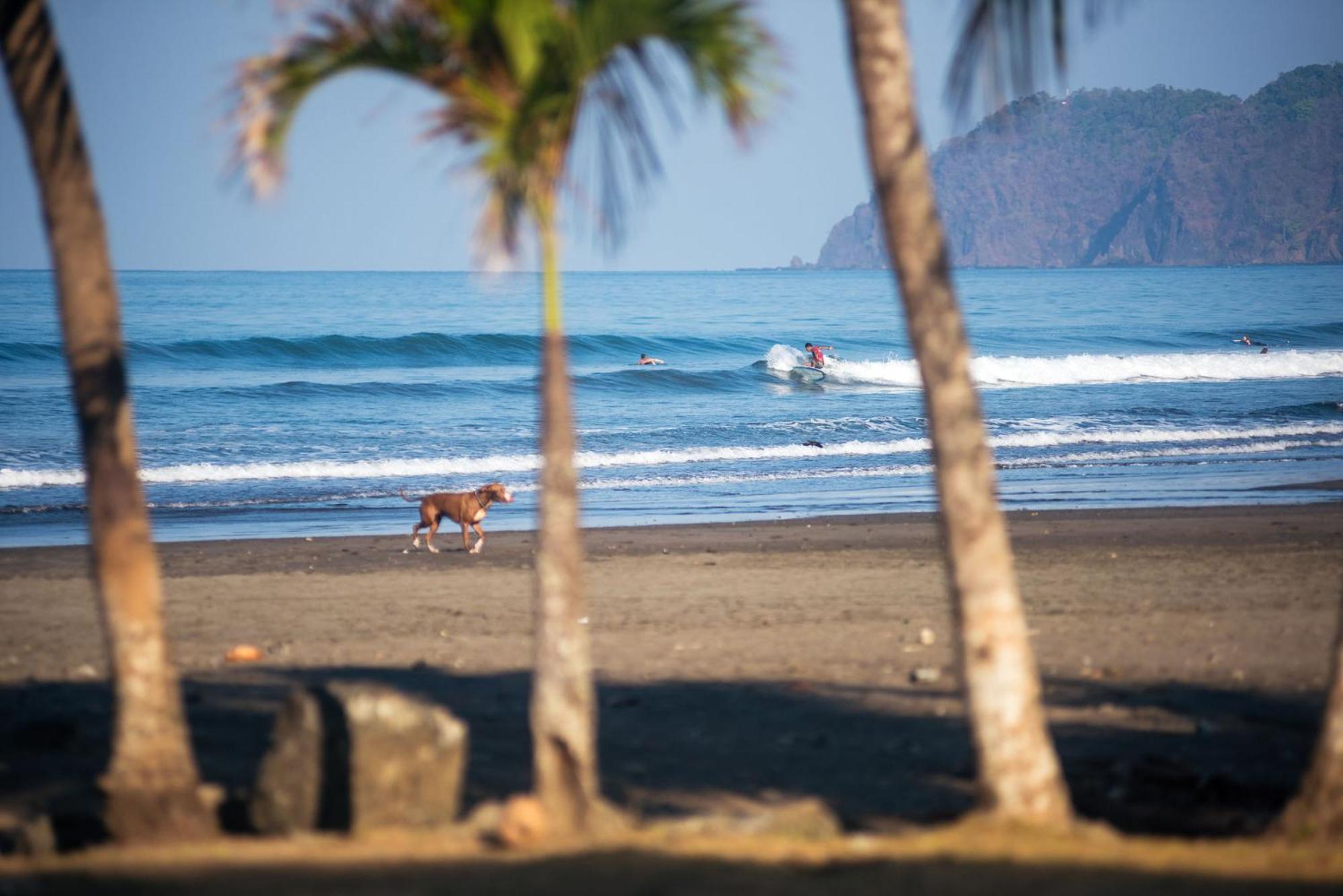 Beach Break Resort & Cr Surf Camp Хако Екстер'єр фото